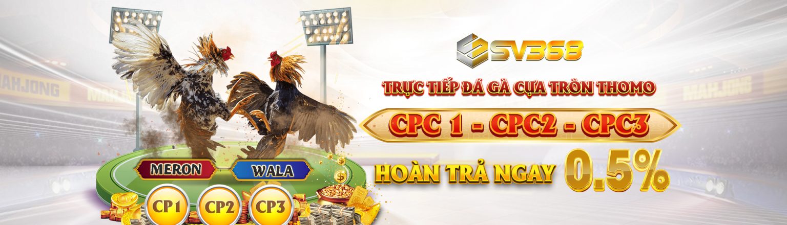 Đấu trường gà Thomo đỉnh cao chỉ có tại SV368