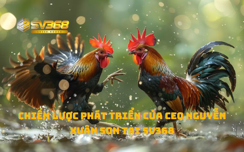 SV368 tập trung vào phát triển game cá cược trực tuyến